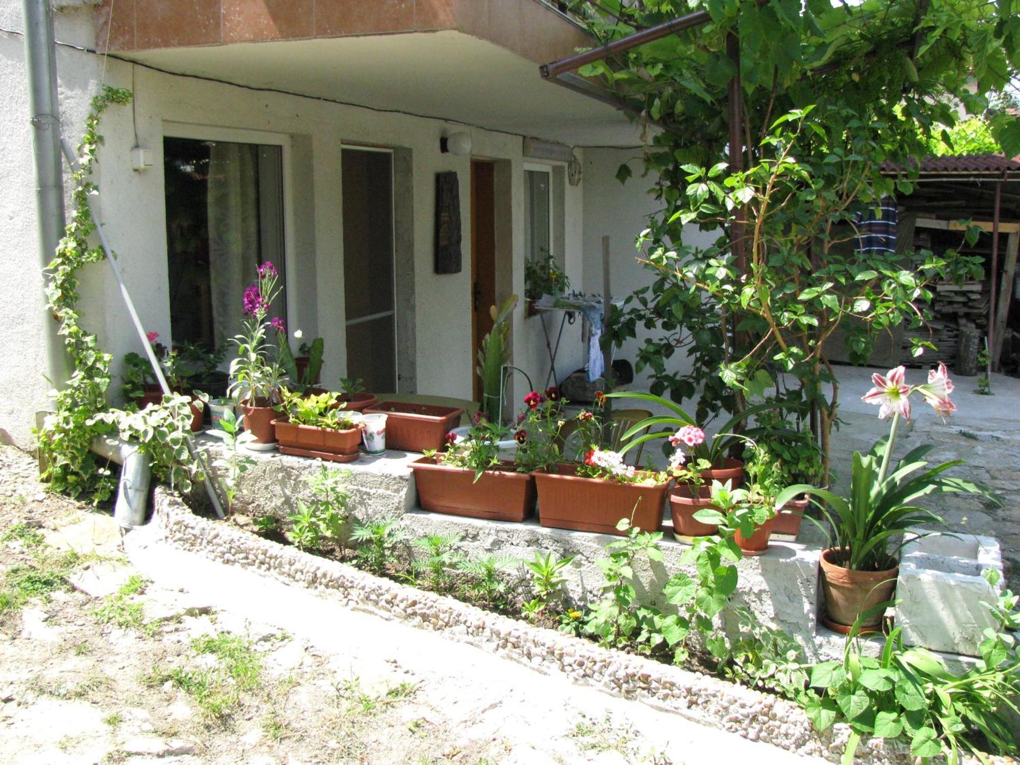 Guest House Familia Samovodene Ngoại thất bức ảnh