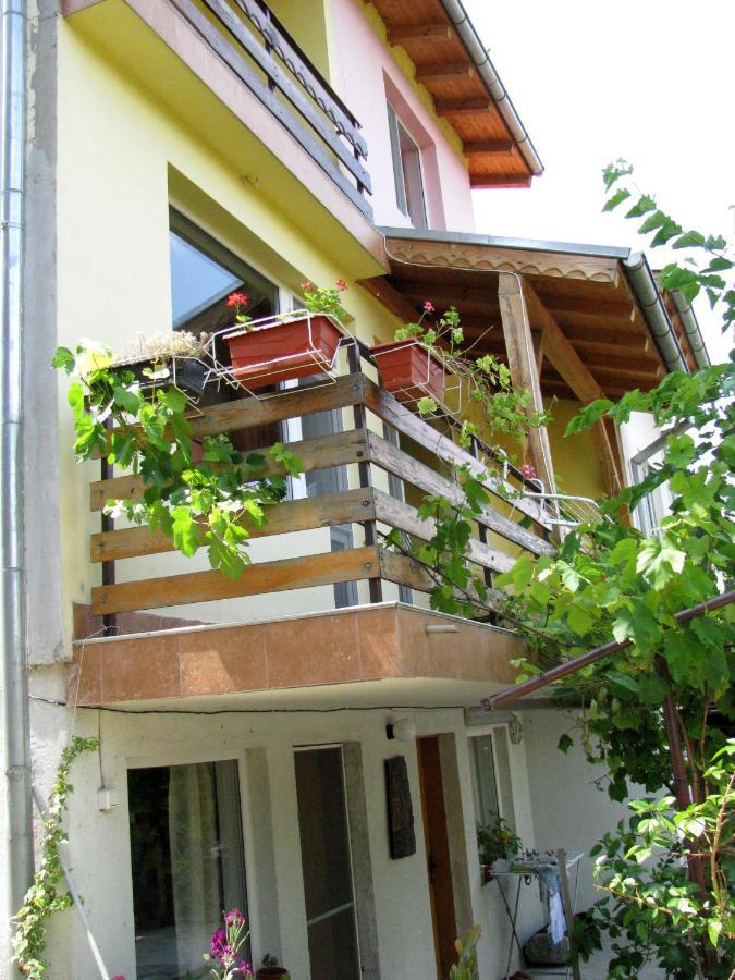 Guest House Familia Samovodene Ngoại thất bức ảnh